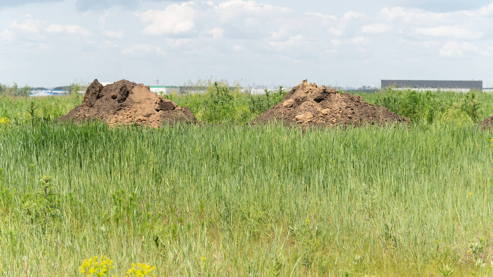 Фото: Олег Харсеев / Коммерсантъ