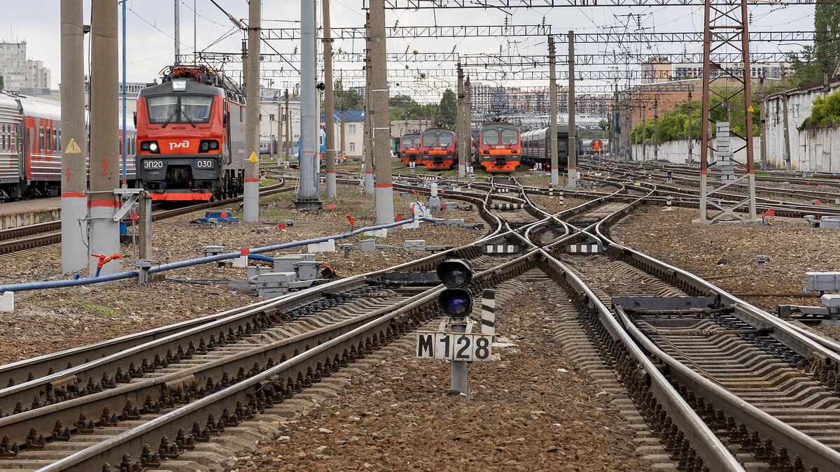    Фото: Aleksey Smyshlyaev/globallookpress.com