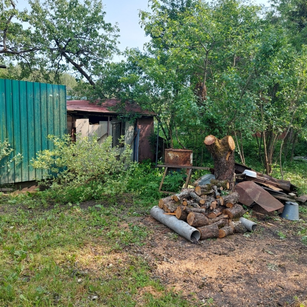 Фото автора.