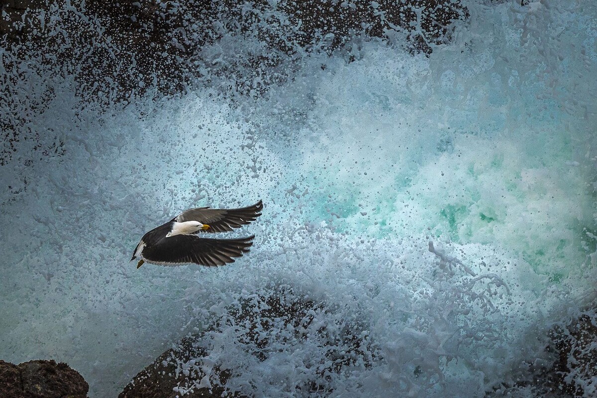 Richard I’Anson фотограф