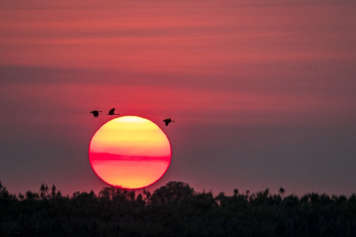 Richard I’Anson фотограф