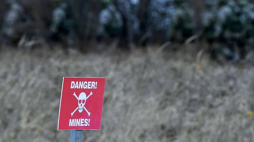 Фото: © Sputnik / Максим Богодвид