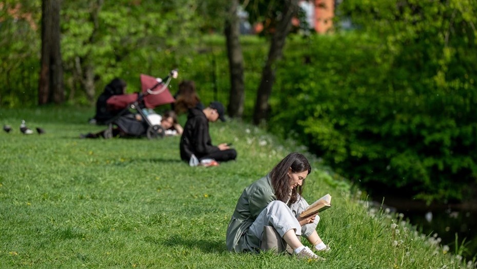    Автор фото: Тихонов Михаил