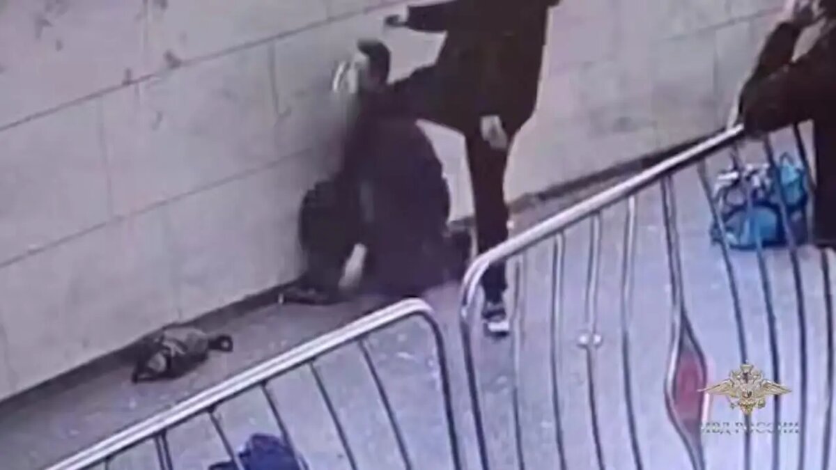    Фото: скриншот из видео пресс-службы МВД РФ.