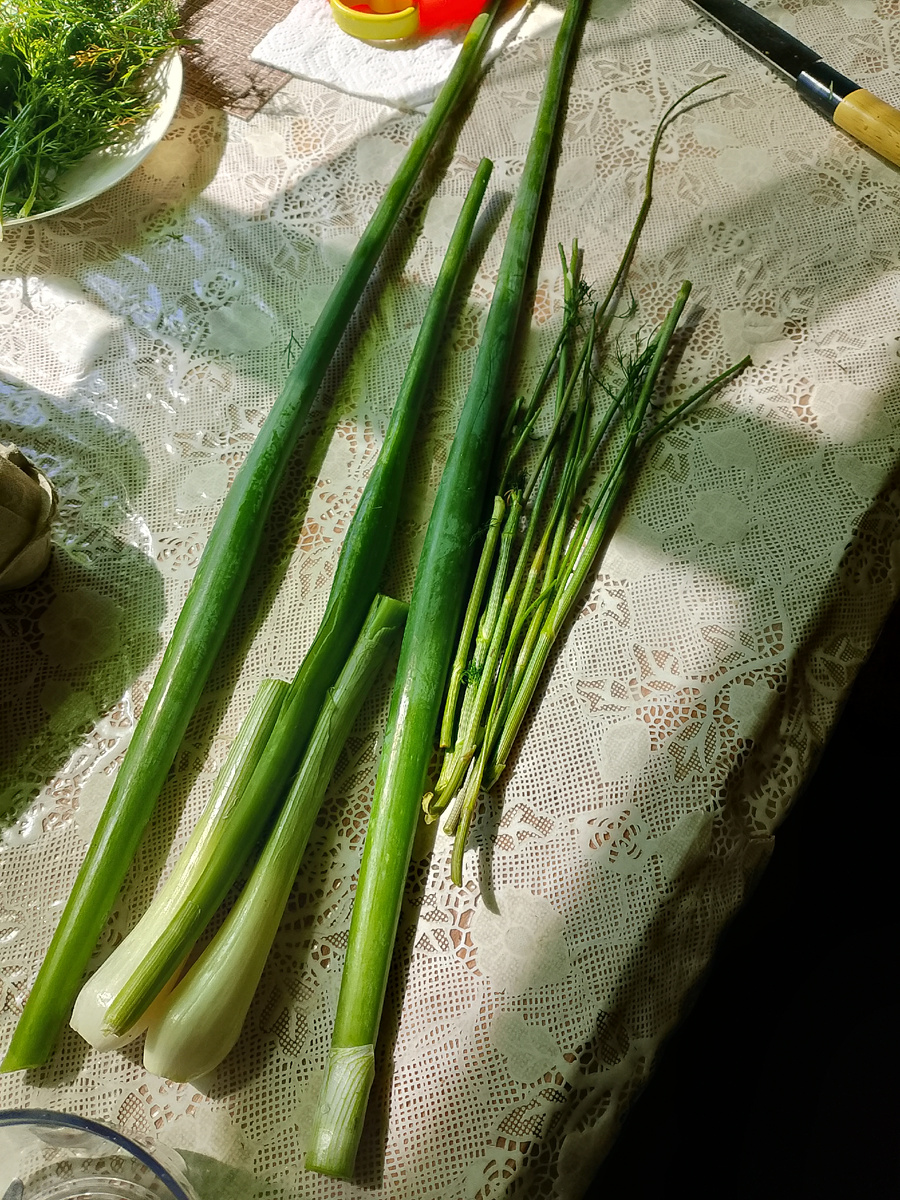 Туда же и стебли укропа!