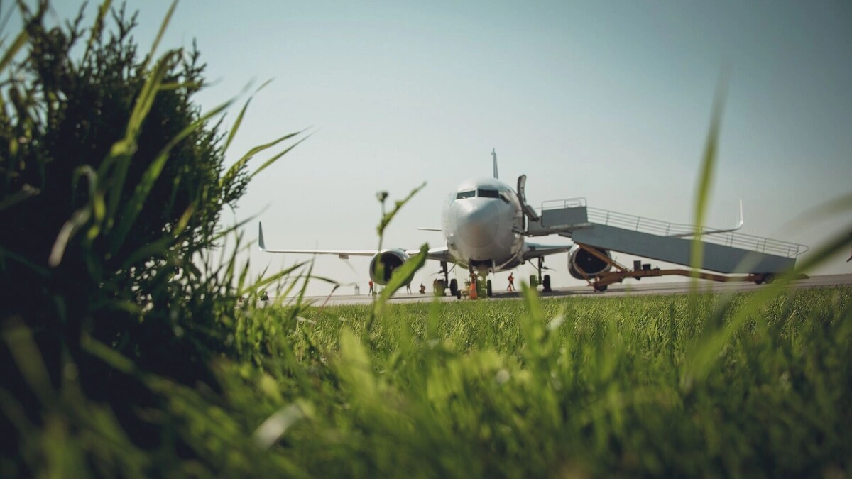     Источник: novostivolgograda.ru