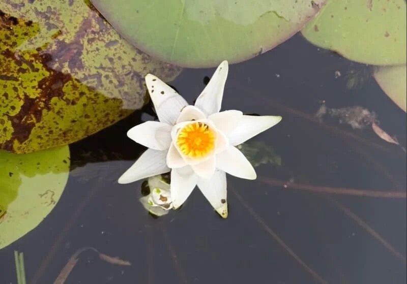 Фото: UfacityNews.ru