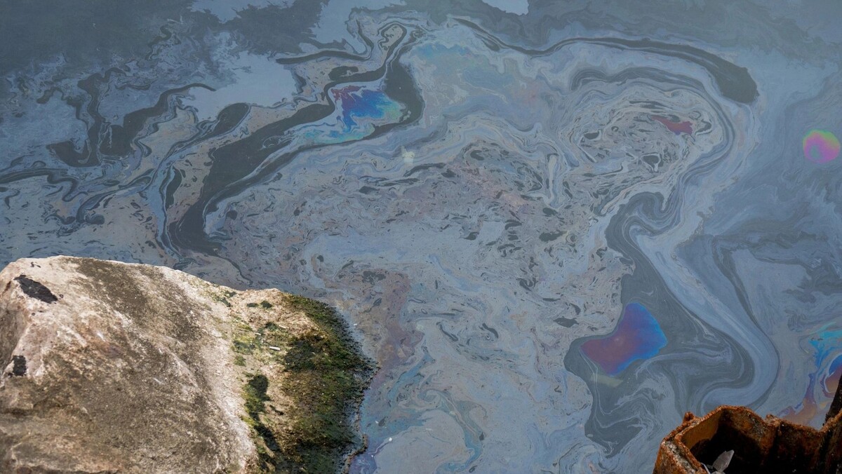    Фото: creator999/Shutterstock/Fotodom