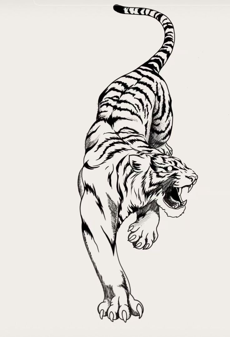 Значение татуировки с тигром разнообразно и зависит от стилистики изображения. Некоторые варианты и их значение:
Голова тигра. Символ решительности, власти и бесстрашия, готовности постоять за себя.
Тигренок. Типично женская татуировка, которая означает невинность, умиротворённость, душевное спокойствие, уют и защиту домашнего очага.
Женщина-тигрица. Символ внутреннего огня, силы, грации, смелости.
Оскал тигра. Открытая пасть зверя говорит о том, что обладатель этого тату — агрессивный человек с горячей кровью, умеющий постоять за себя и семью.
Тигр с короной. Такое тату выбирают люди, стремящиеся к величию и власти, предпочитающие быть в центре внимания.
Лапа тигра. Означает лидерские качества, успешность в делах, свободу и открытость новому.
Белый тигр. Татуировка с белым зверем говорит об уникальности её владельца, выделяет его, превозносит над остальными.
Глаза тигра. Знак людей, решительно идущих к своей цели, умных и сосредоточенных.
Когти тигра. Лапа с когтями может говорить об агрессивности, готовности дать отпор, защитить дорогое.
Тигр-оборотень. Говорит о двойственной натуре человека.