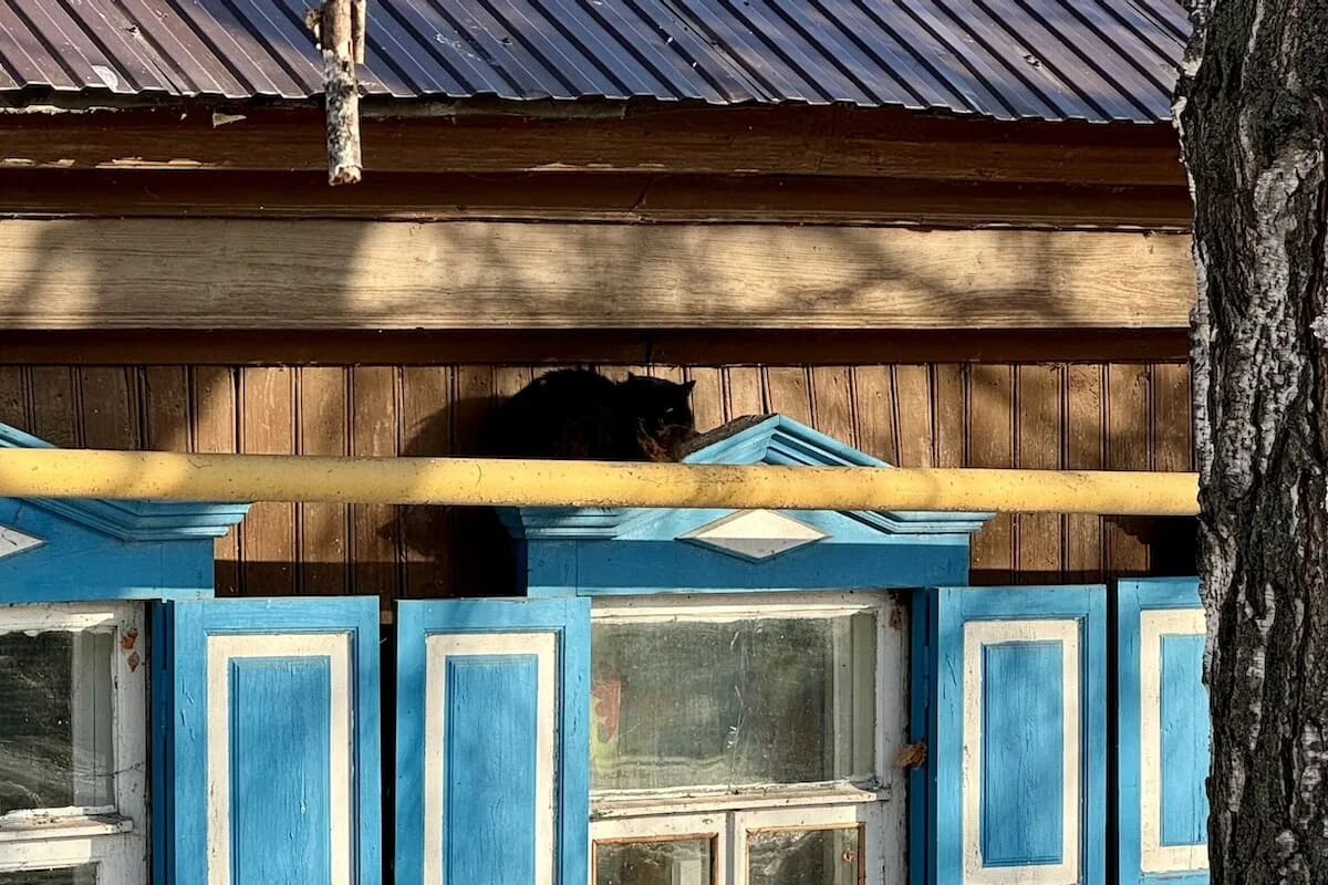 Фото: UfaTime.ru