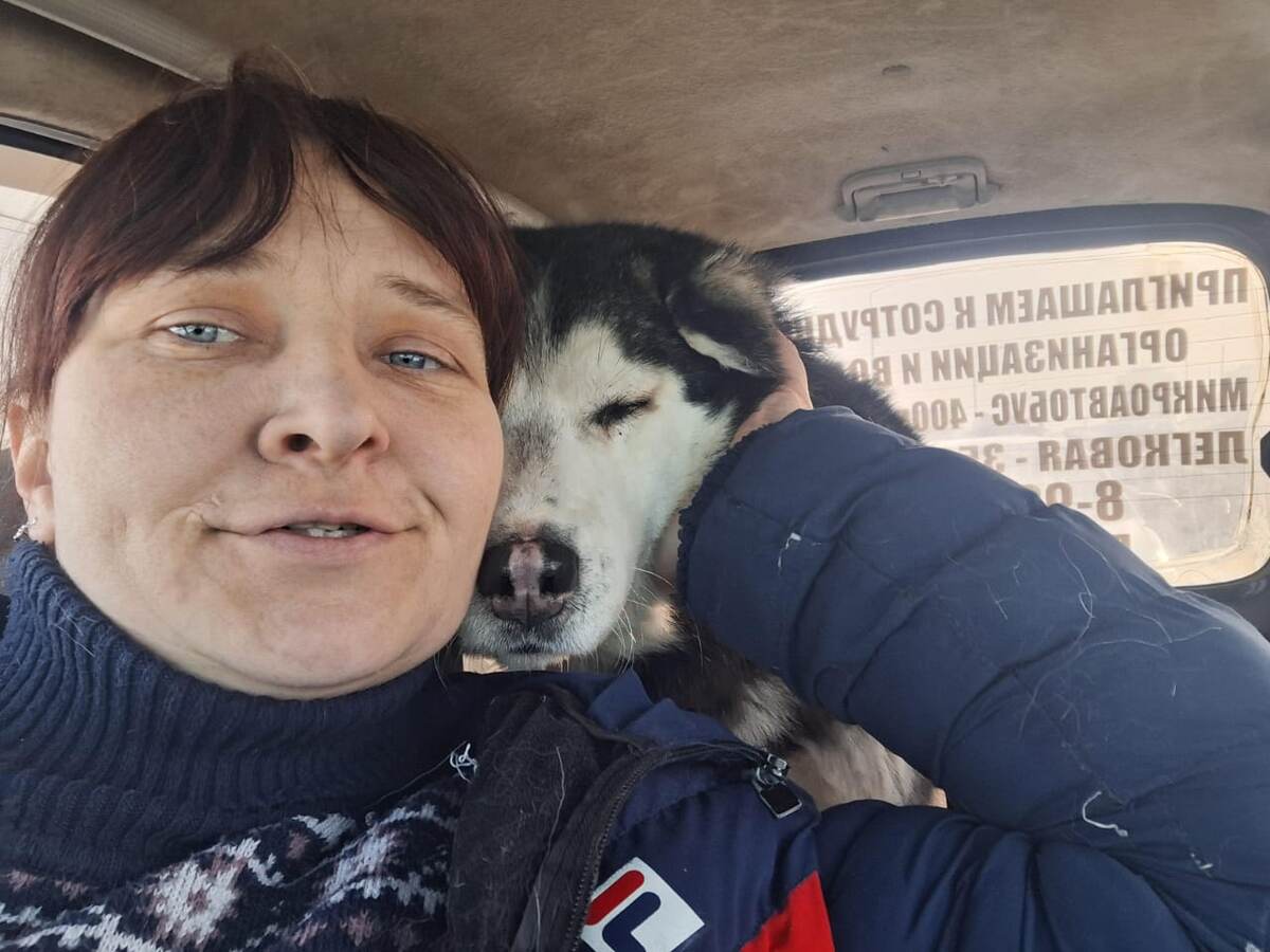 Момент, когда мы его забрали с улицы