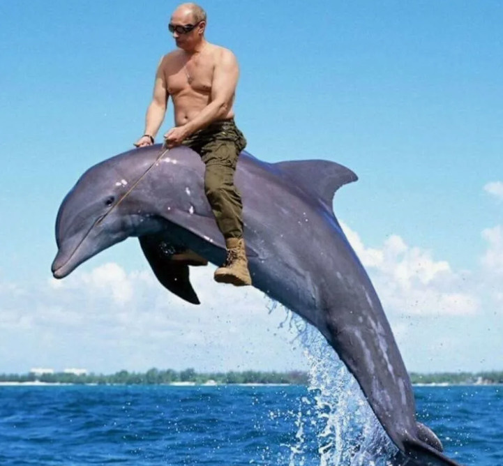 Все фото из интернета