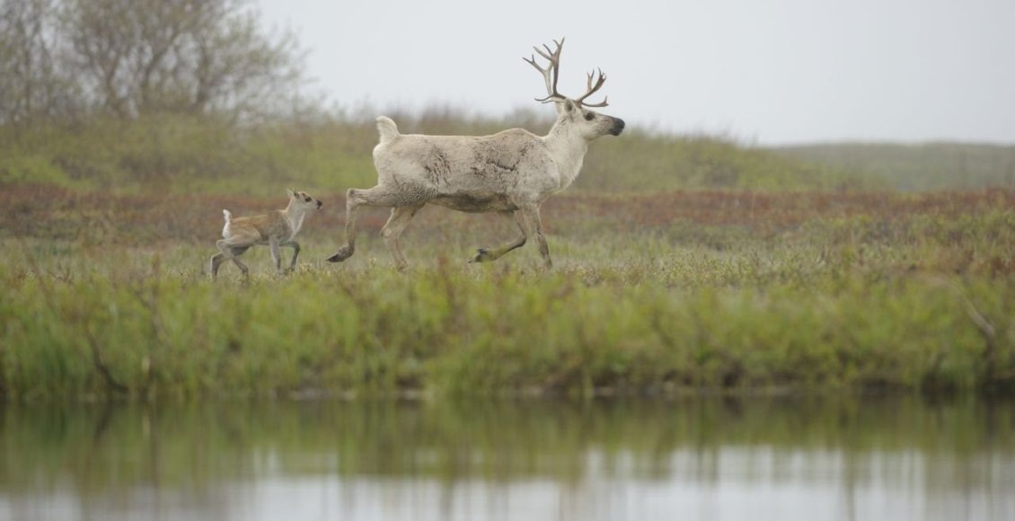    Фото: Игорь Шпиленок