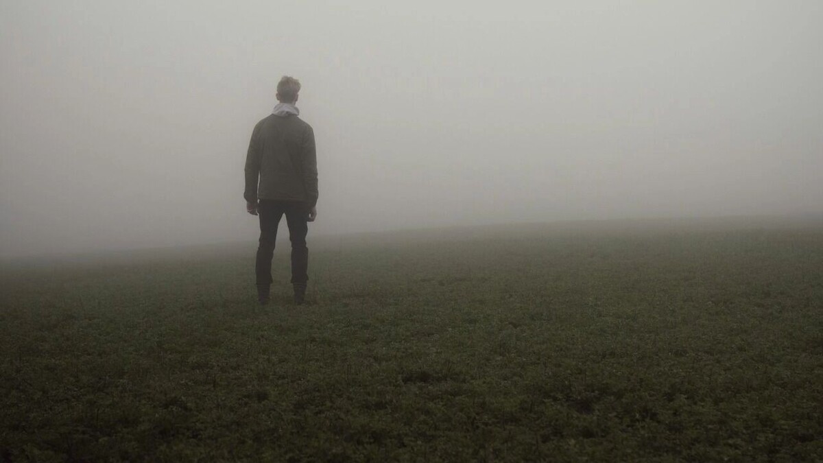     Автор: Unsplash