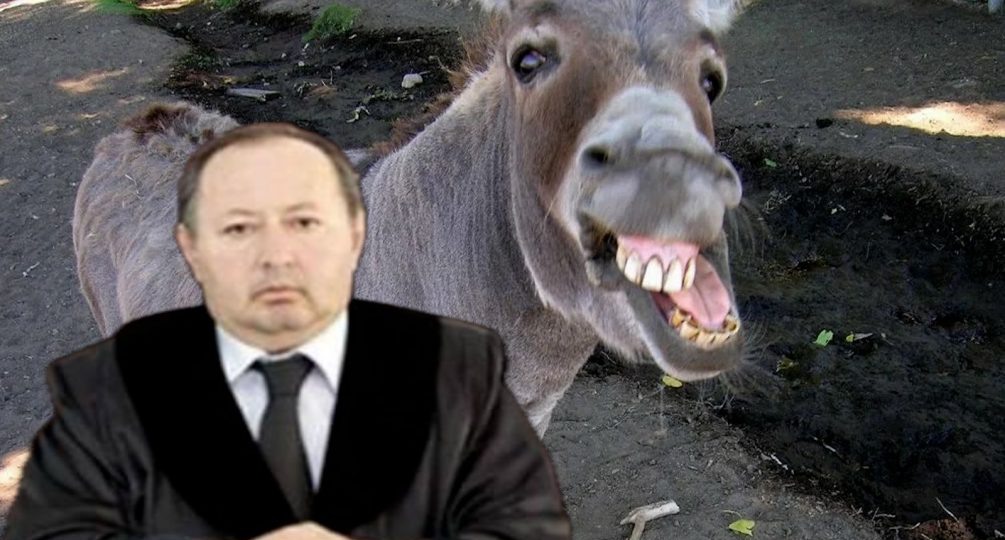 Азербайджанский судья погиб при попытке изнасиловать осла