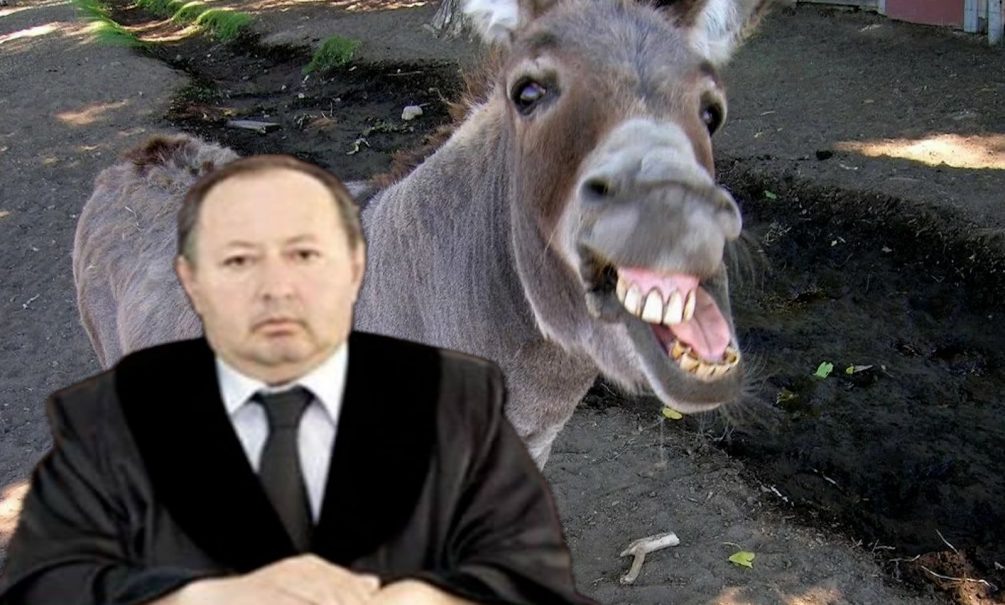    ....