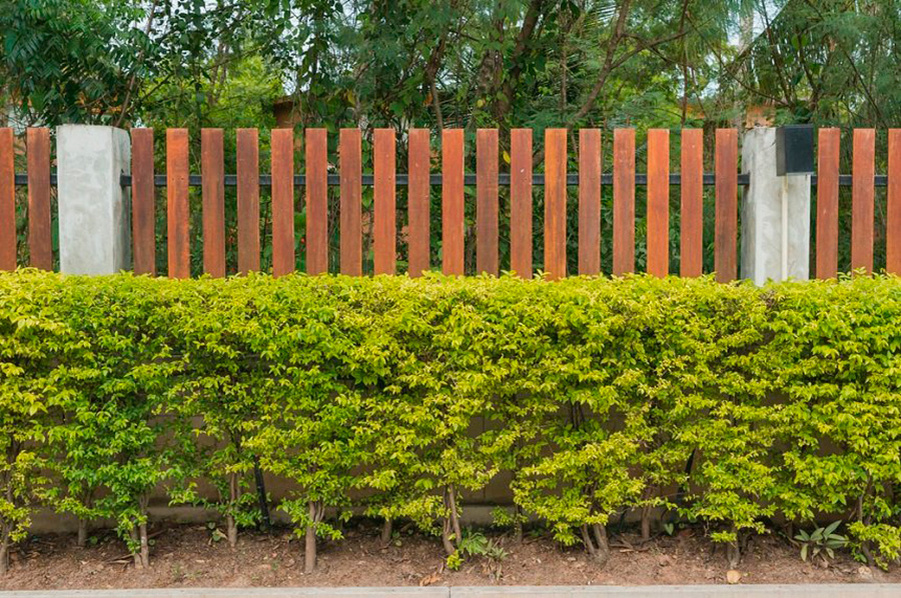     В Минской области стартует конкурс по благоустройству с денежными наградами