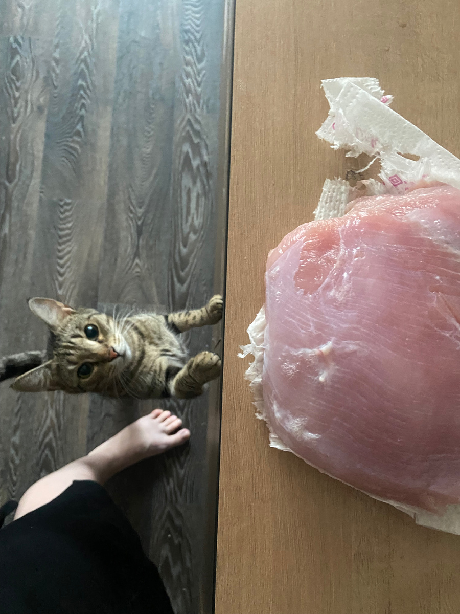 А где кусочек для кошеньки??