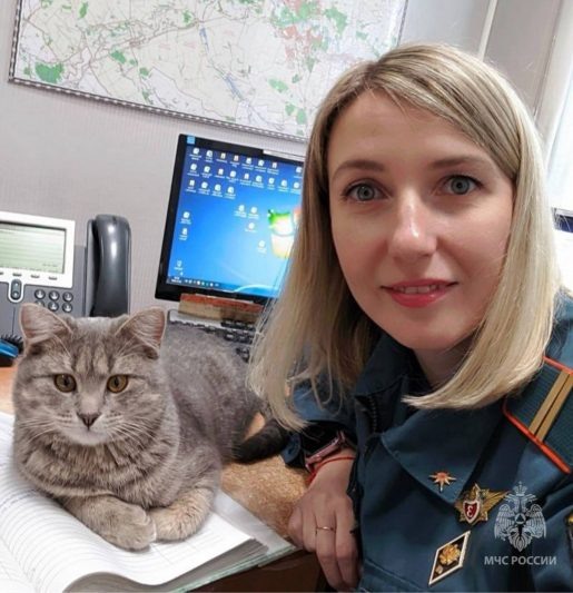 Фото: МЧС Курской области