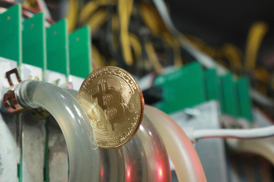    Сергей Булкин/NEWS.ru