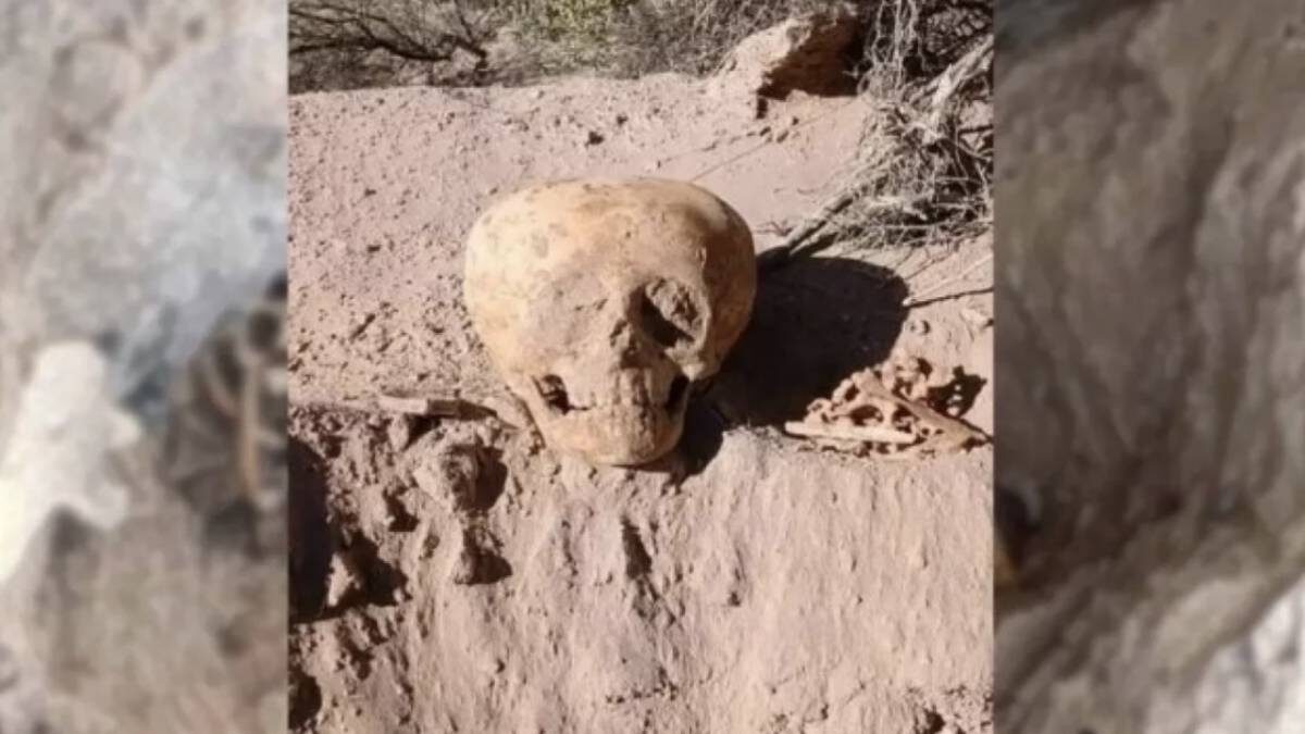    Фото: heritagedaily.com