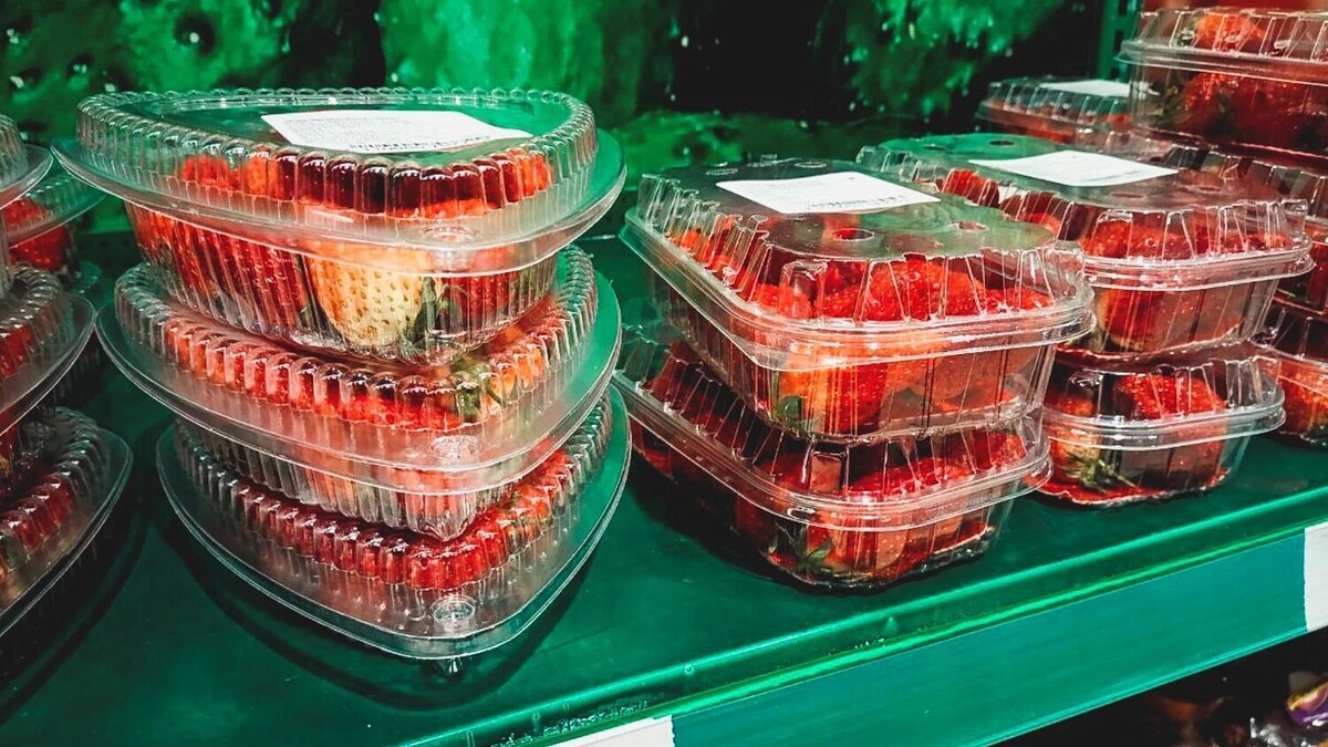     Источник: 1MI