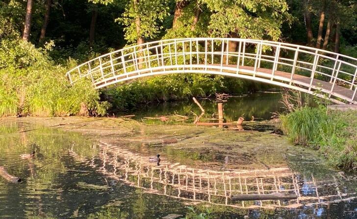    фото Курские известия