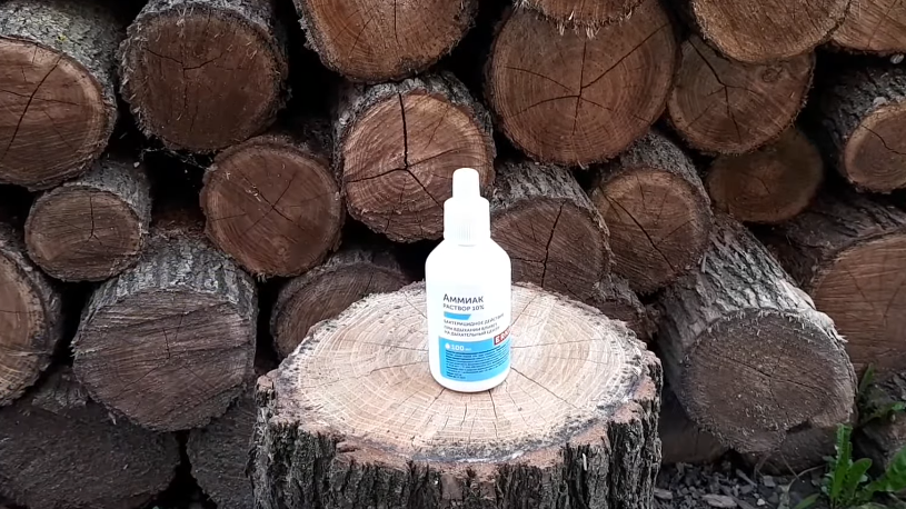 Нашатырный спирт тоже не оправдал надежд