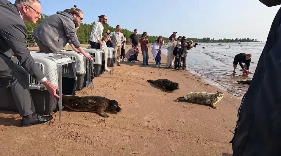    Фото: скриншот из видео пресс-службы ГУП «Водоканал Санкт-Петербурга»