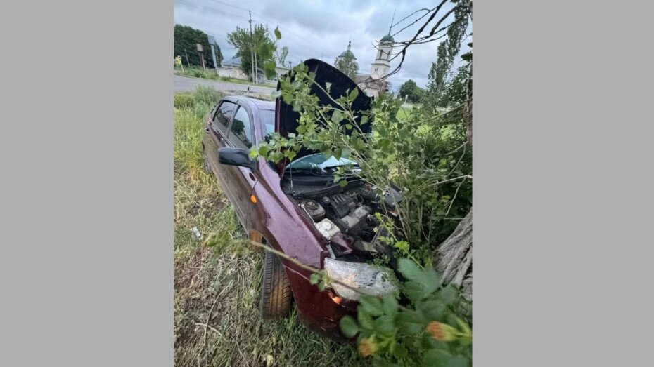    Автор фото: предоставлено Госавтоинспекцией Борисоглебска