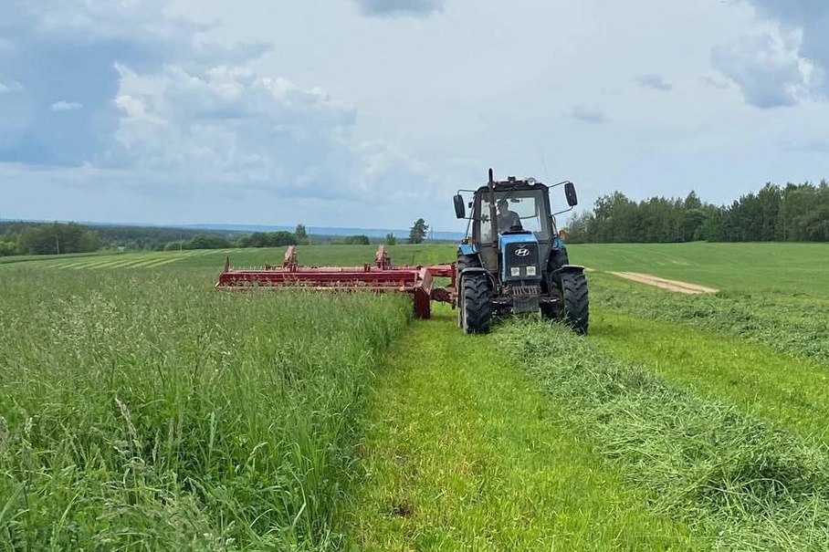    Кормозаготовительные работы начались в Нижегородской области