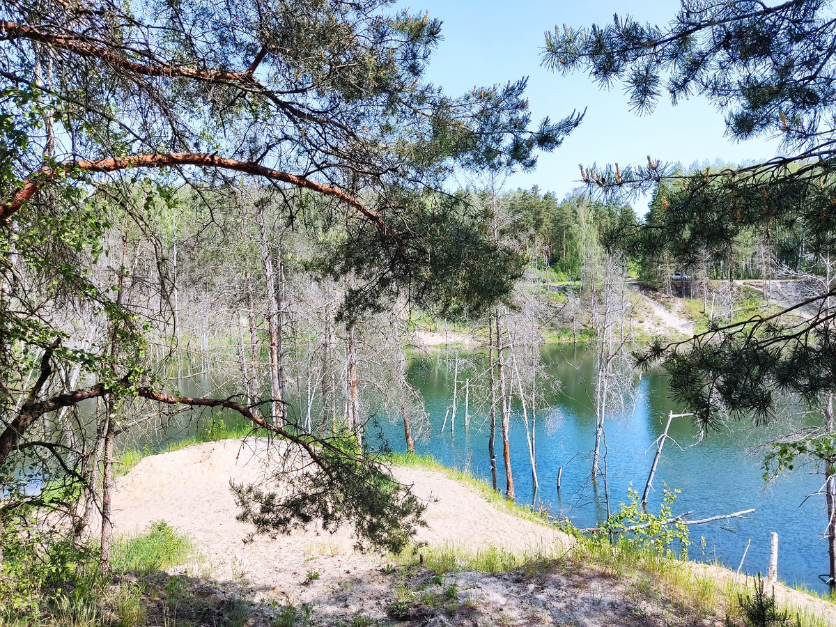 Когда встает солнце.