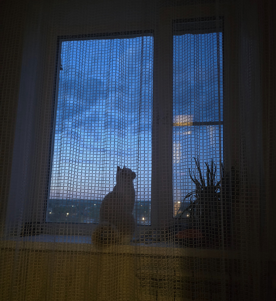 А из нашего окошка