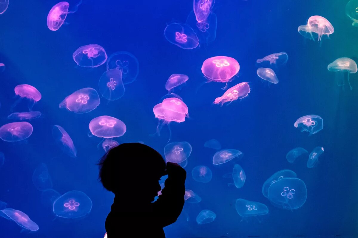 © РИА Новости Алексей Даничев
