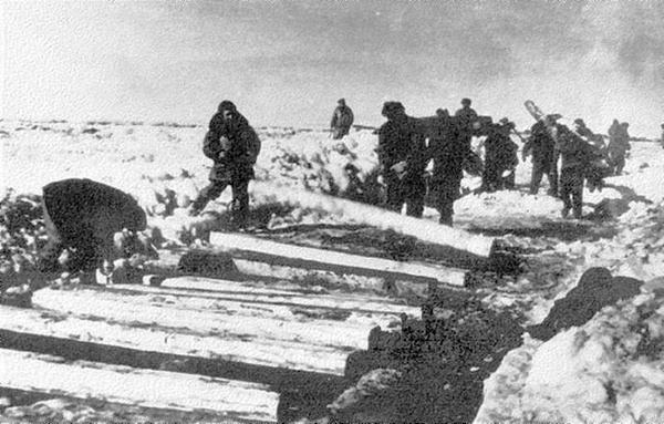 Мертвая дорога. ГУЛАГ лагеря 501-й стройки 