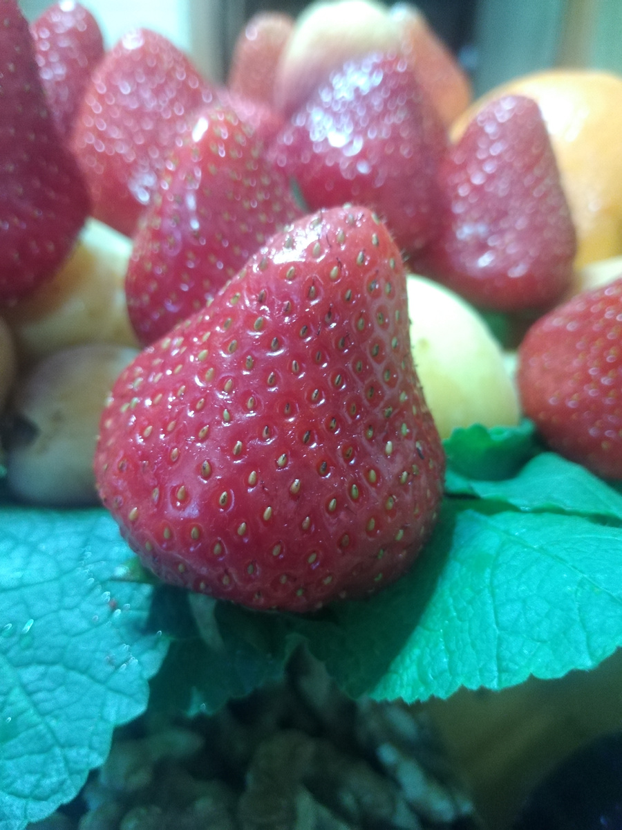 Клубнику лучше есть свежей или замораживать. Фото автора канала