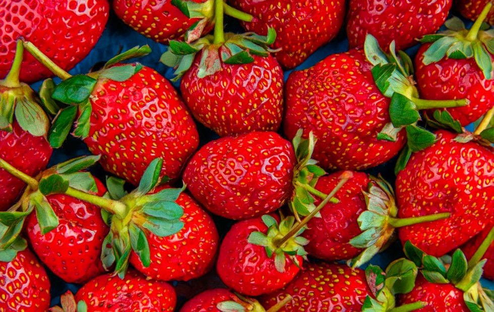 Обложка: freepik.com