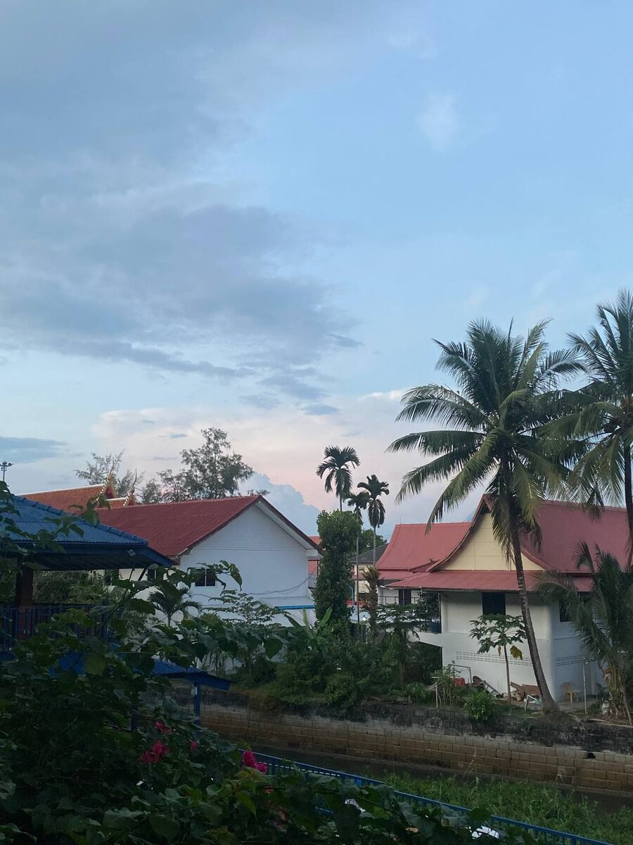 Александра Смолянинова 