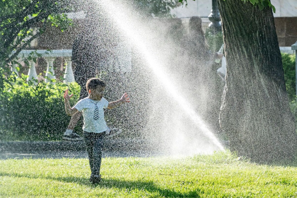     / Источник: © ИЗВЕСТИЯ/Константин Кокошкин