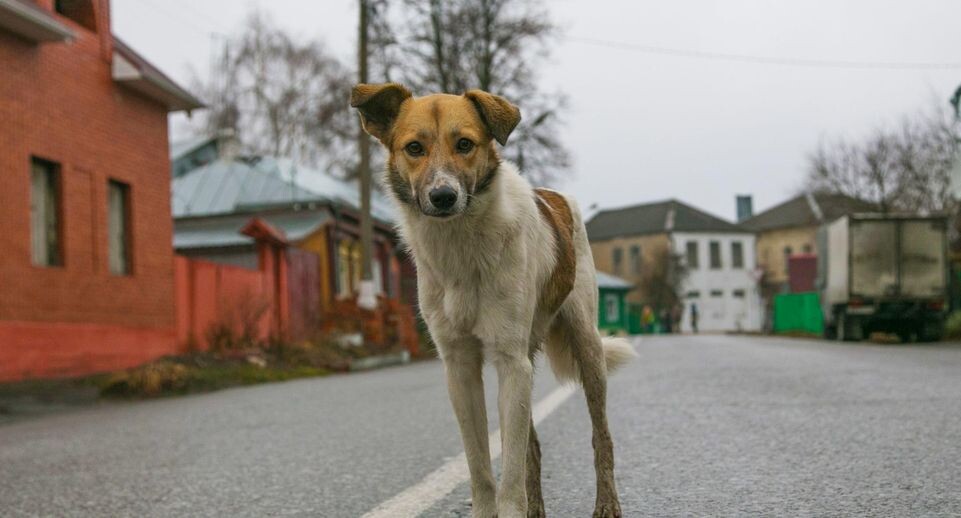   Медиасток.рф