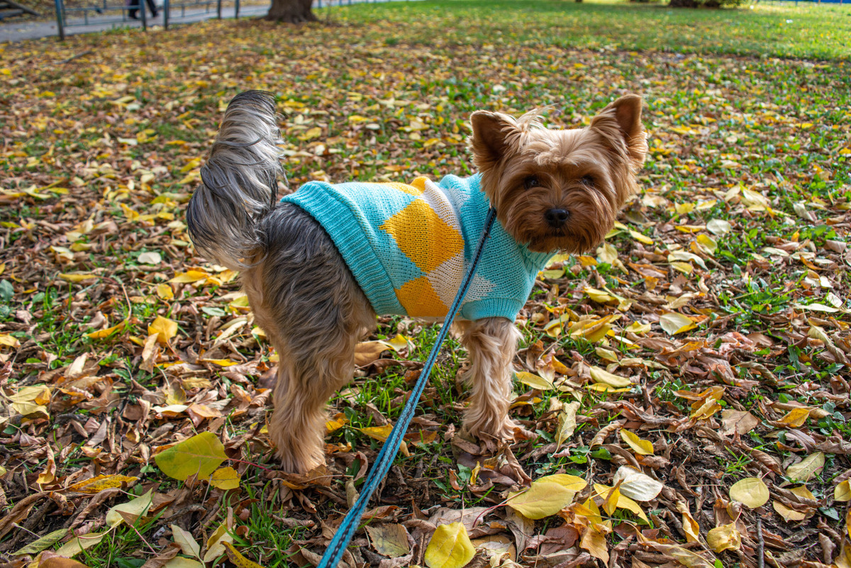    Фото: Галина Ниценкова