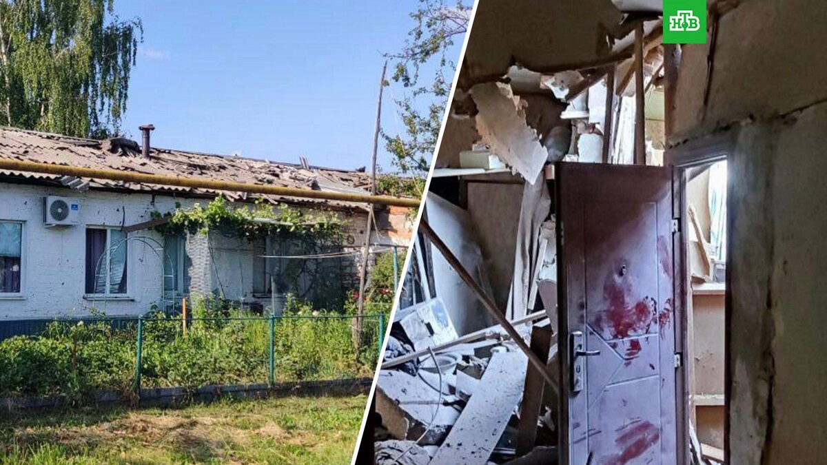    Фото: Hinshtein / t.me