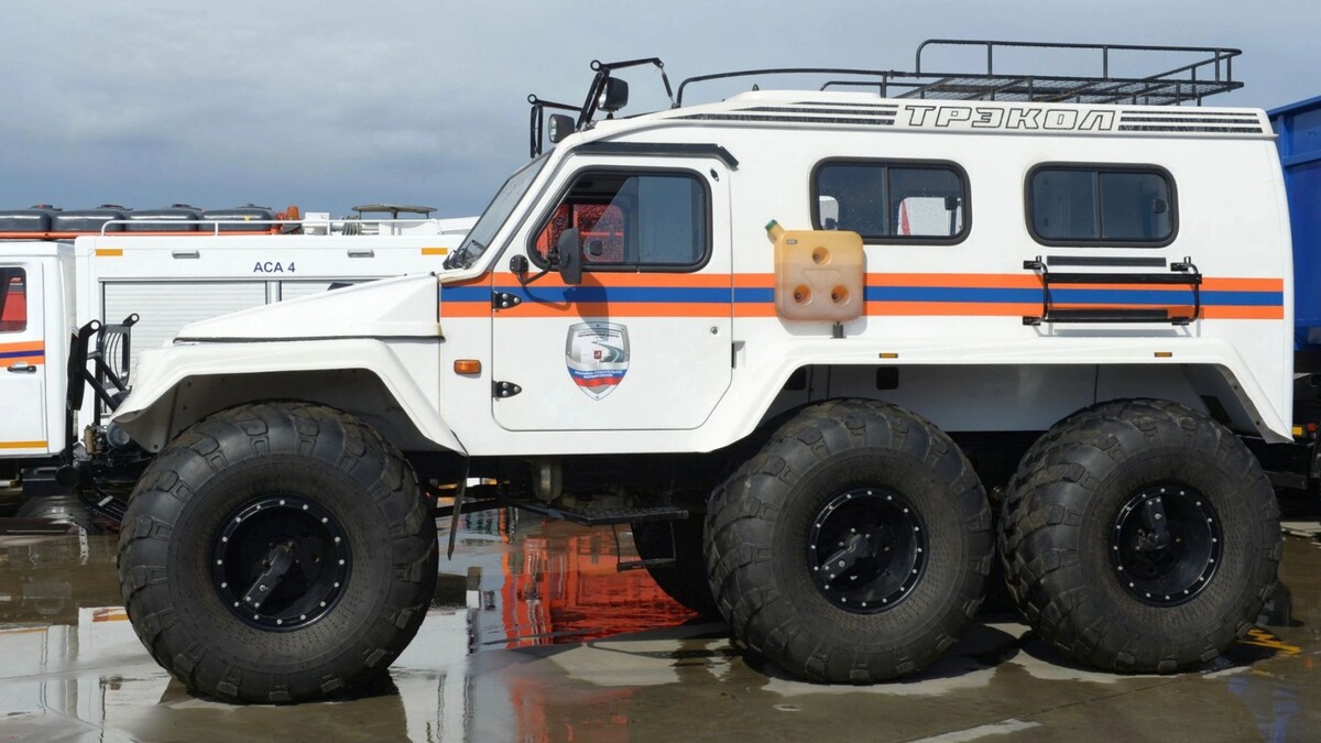    Фото: Free Wind 2014/Shutterstock/Fotodom