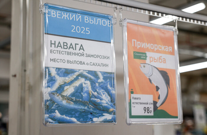 До центральной России рыба навага просто не доплывает / Фото: Игорь Новиков - сайт правительства Приморского края