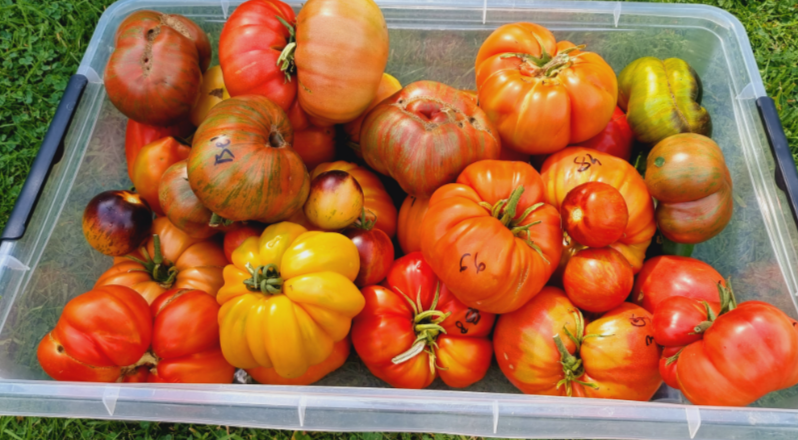 Фото из личного архива