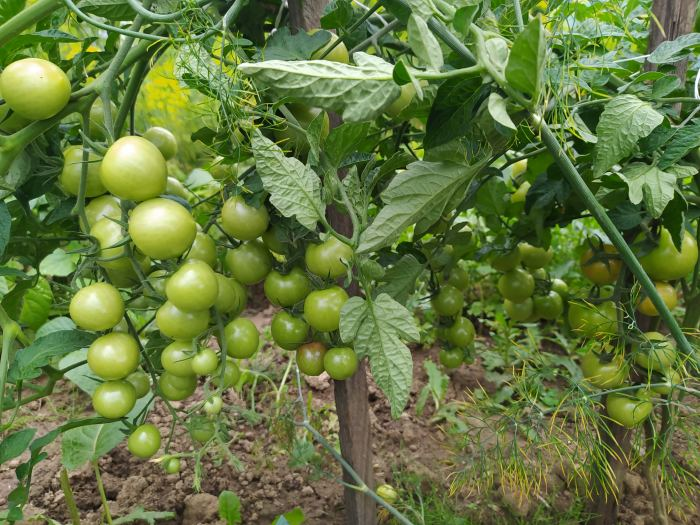 Фото из личного архива