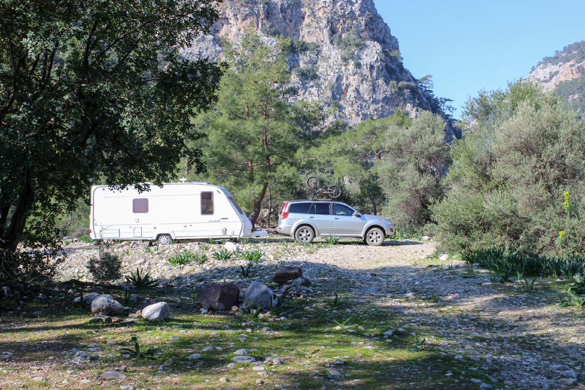 Наши новые друзья - кемперы