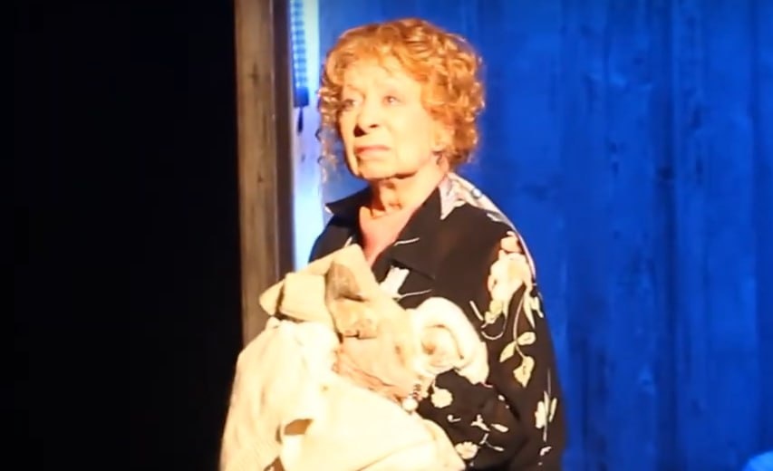 Фото: Prt Scr youtube.com / Vlad Larin