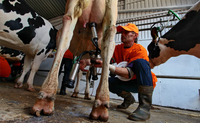    © Анастасия Илюшина / ЛенТВ24