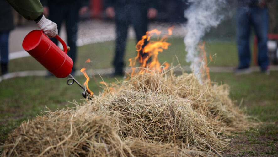    Фото: KazanFirst